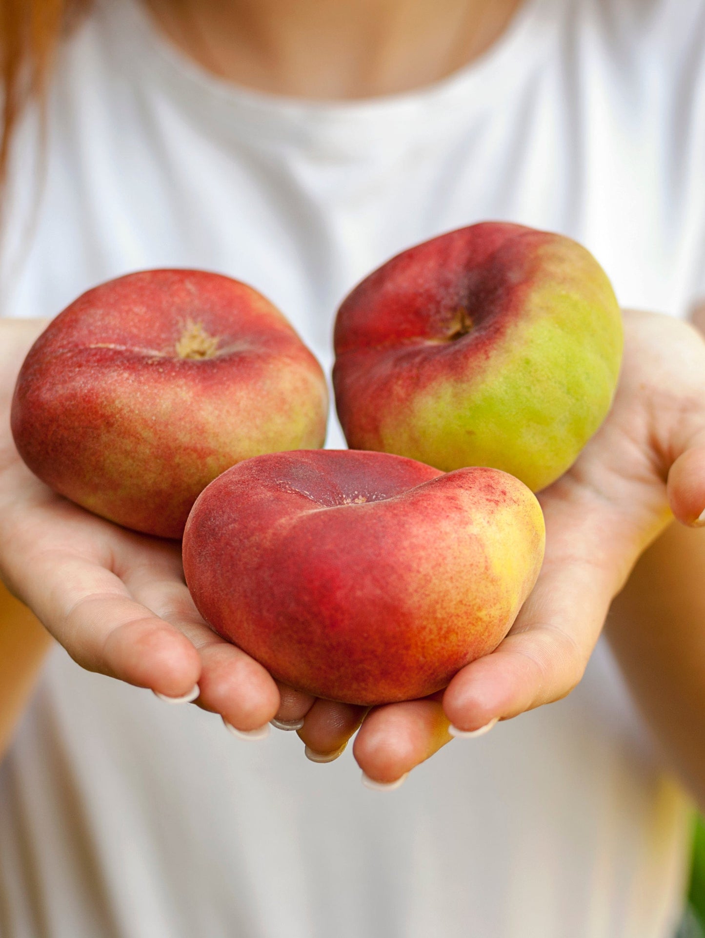 Galaxy Peach