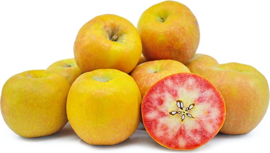 Lucy™ Glo Apple