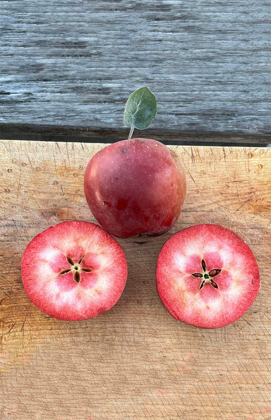  Almata Apple