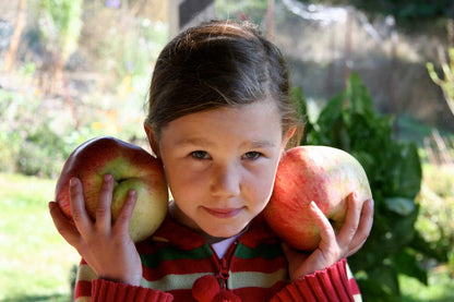  Wolf River Apple