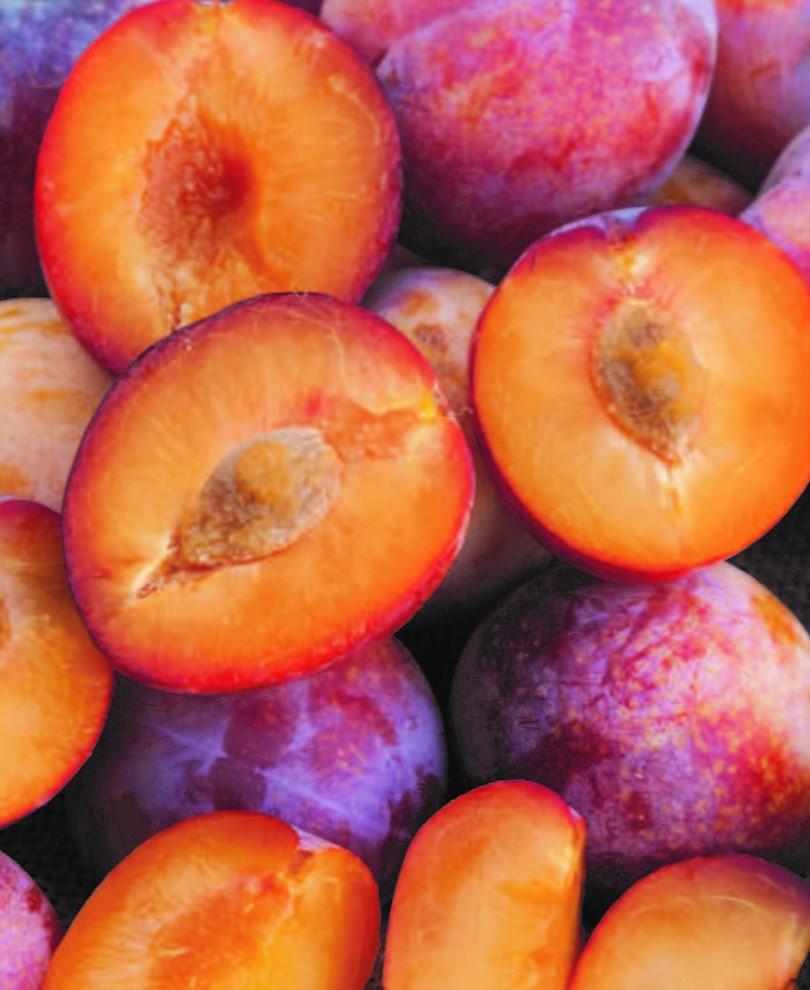  Flavor Punch Pluerry