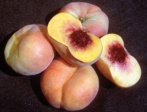  Sweet Bagel Peach