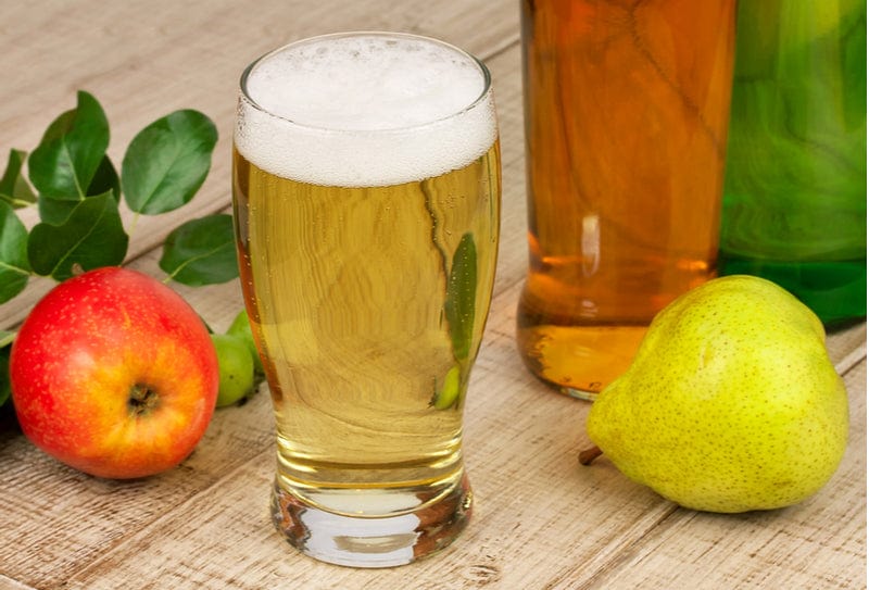  Gloucester Select Perry Cider Bundle (6 Trees)