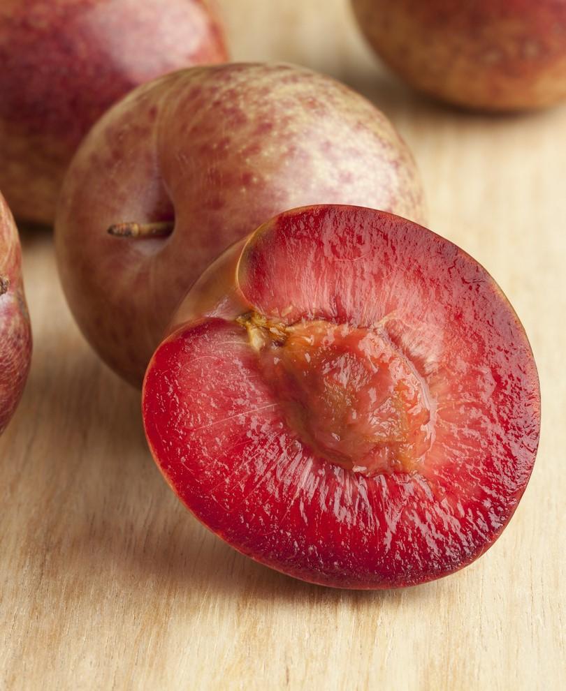  Combo Zee Sweet Pluot Tree (3 Varieties)